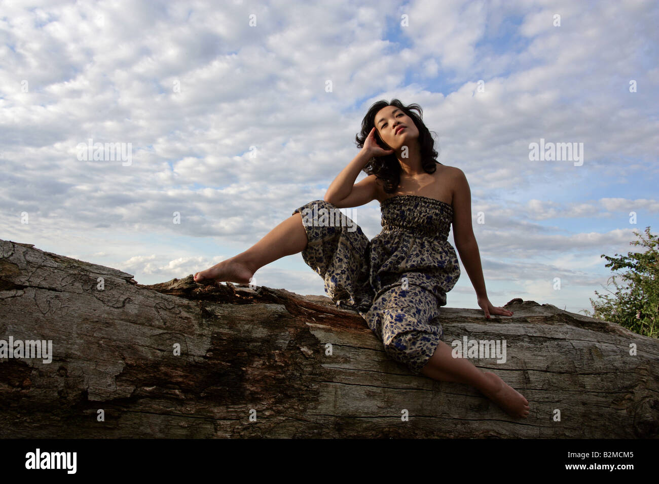 Chinese Girl sitting on a log en face d'un champ de maïs Banque D'Images