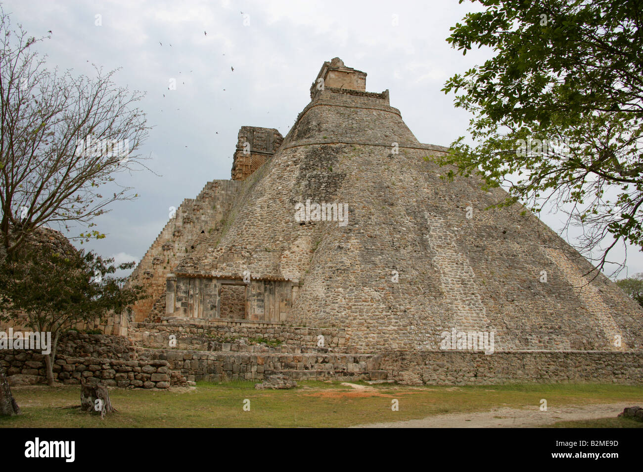 Pyramide du Magicien, site archéologique d'Uxmal, péninsule du Yucatan, au Mexique. Banque D'Images