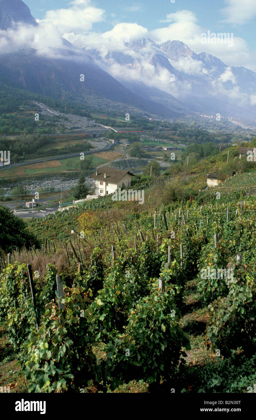 Vignes, chambave, Italie Banque D'Images