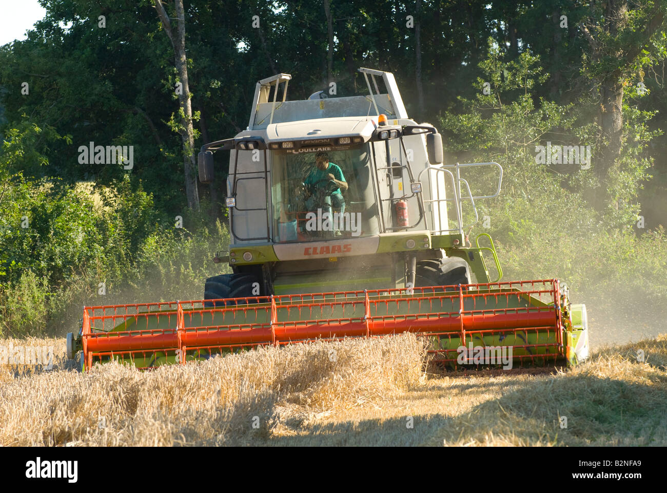 'Rendmt Lexion Claas 540' à la moissonneuse-batteuse au travail, sud-Touraine, France. Banque D'Images