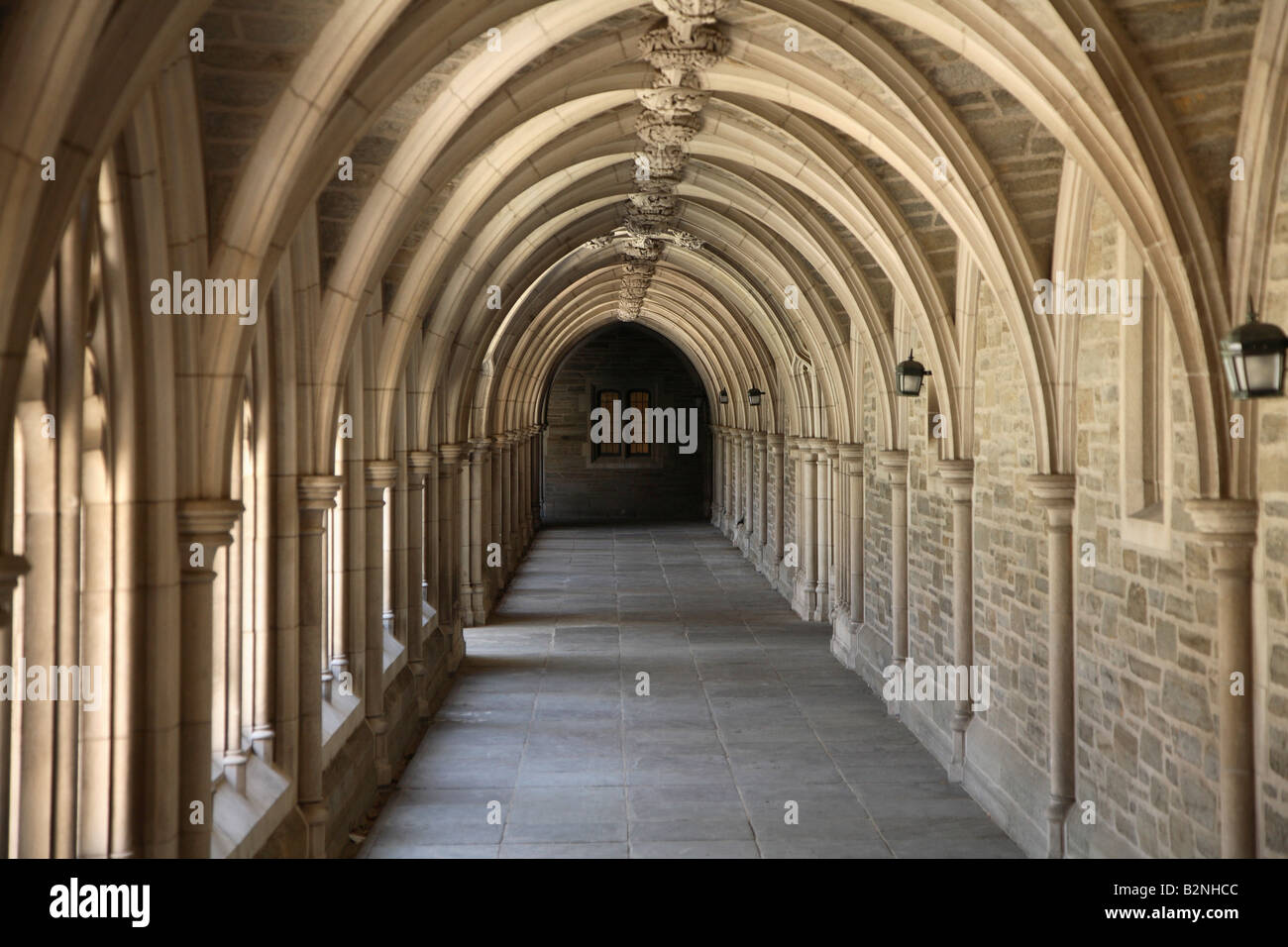 Cloître voûté au passage Hall titulaire à l'Université de Princeton. Banque D'Images