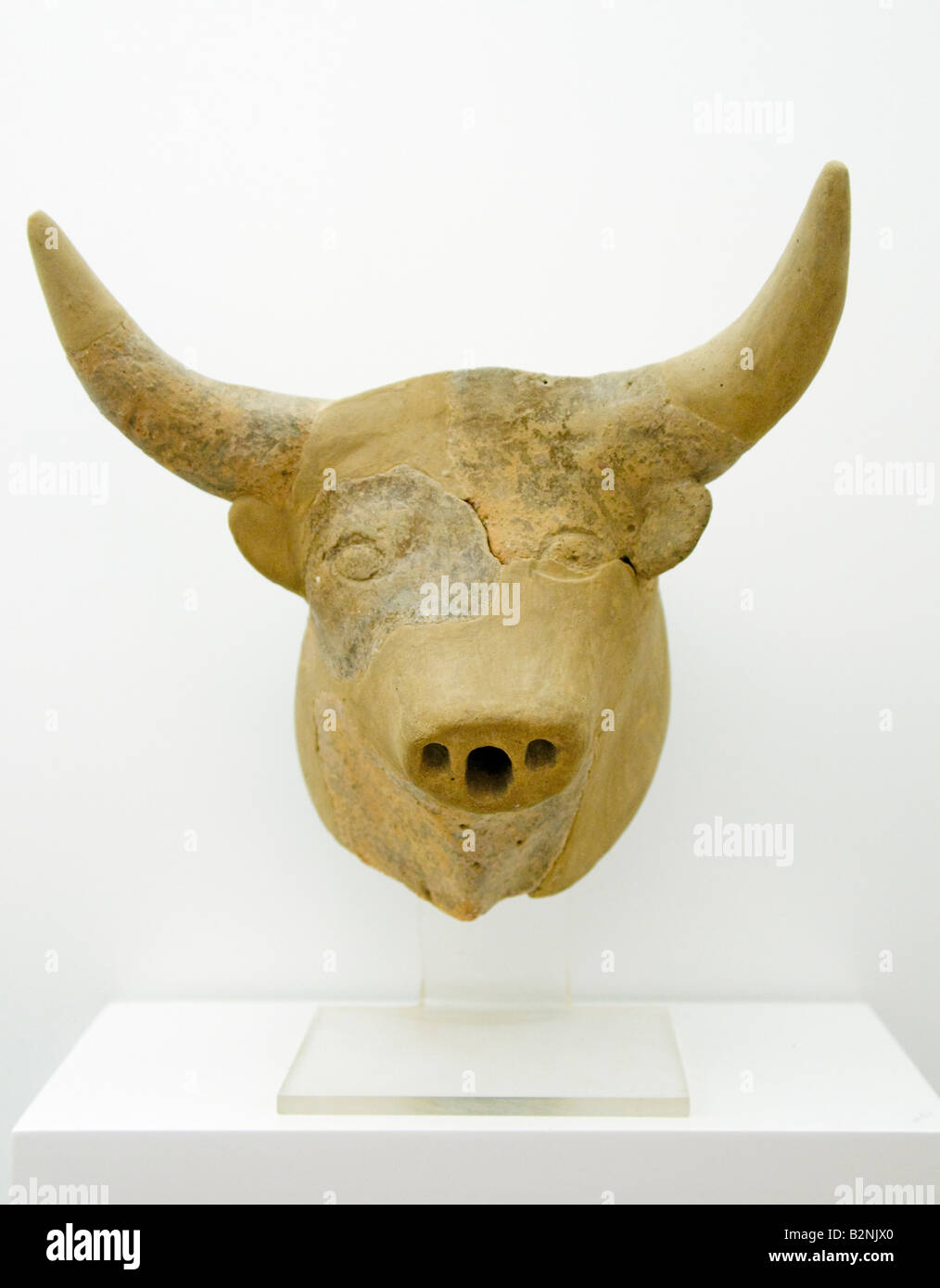 Agios Nikolaos, Crète, Grèce. Musée archéologique. Tête de taureau du Palais Minoen de Malia Banque D'Images