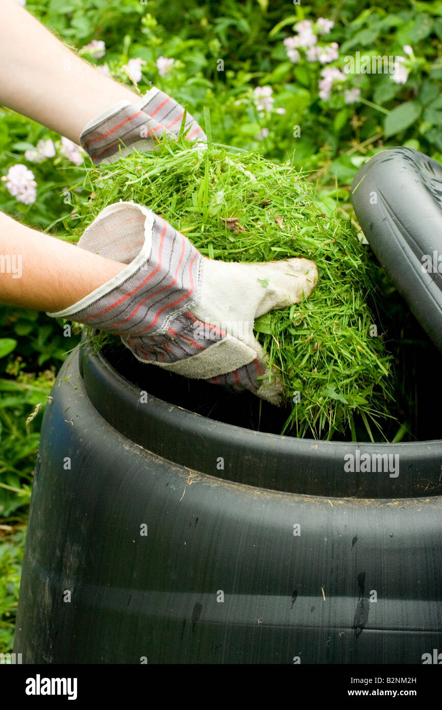 Gazon été placé dans le Compost Banque D'Images