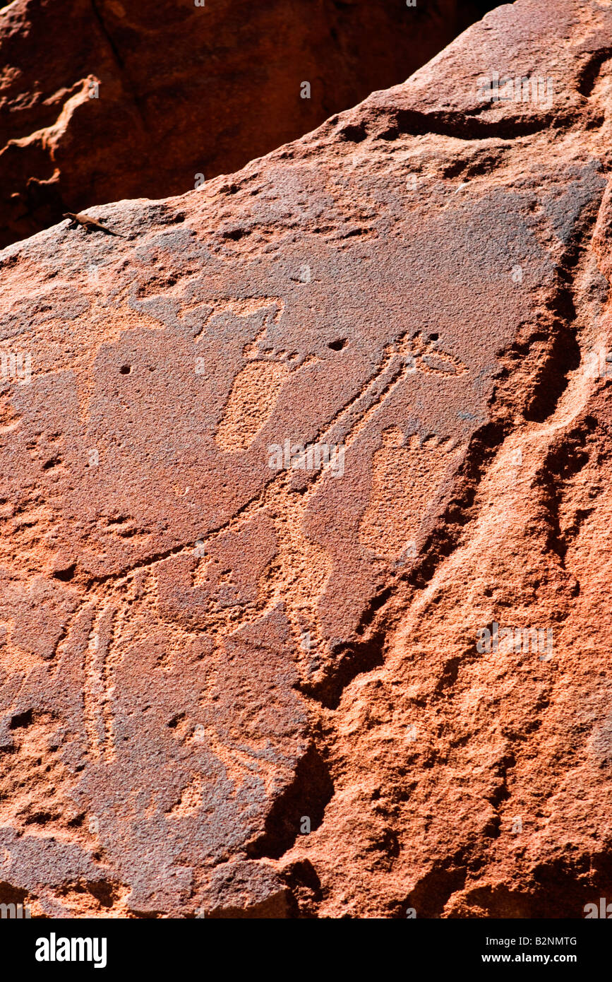 Ancient Art rupestre de Twyfelfontein, Namibie Banque D'Images