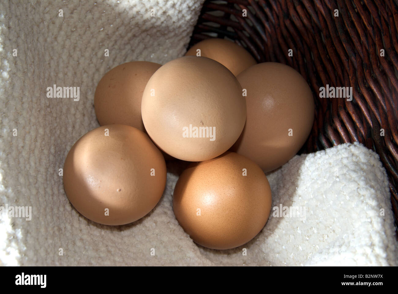 Demi-douzaine d'oeufs dans un tissage panier Banque D'Images