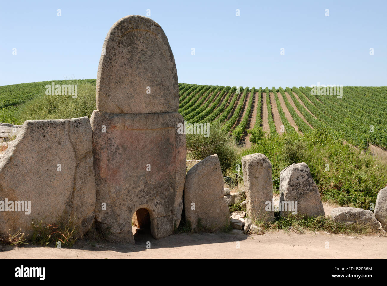 Demeure historique à côté d'un vignoble en Sardaigne Banque D'Images