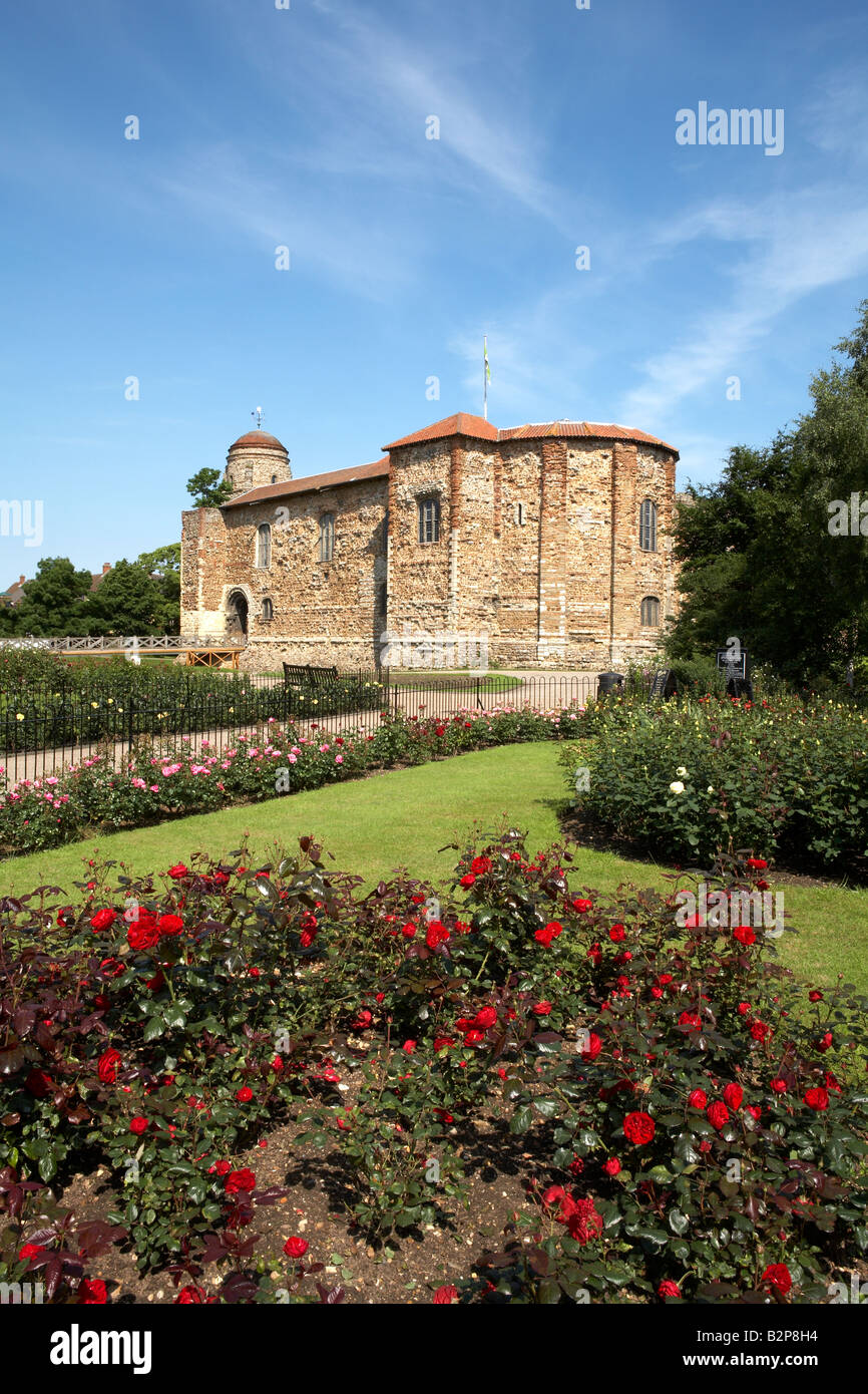 Musée du Château de Colchester Essex Angleterre Château supérieur Park Banque D'Images