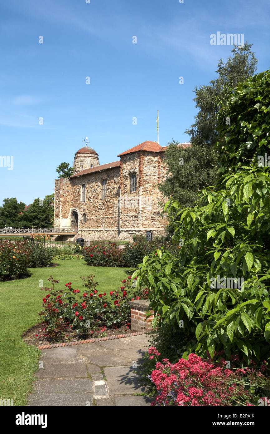 Musée du Château de Colchester Essex Angleterre Château supérieur Park Banque D'Images
