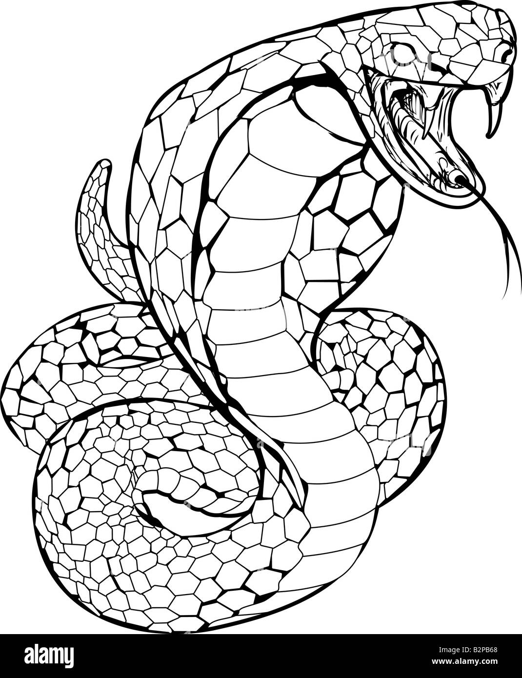 Illustration noir et blanc d'un cobra snake se préparait à attaquer Banque D'Images