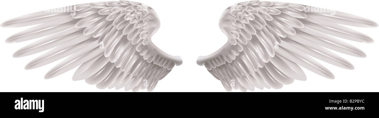 Illustration d'une paire de belles ailes blanches étendues Banque D'Images