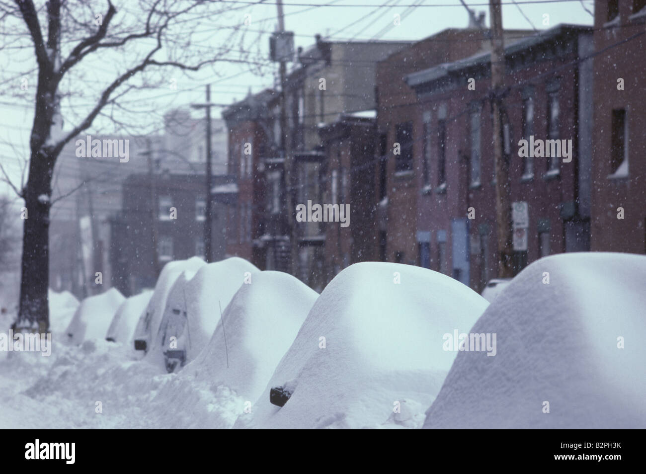 La suite d'une énorme tempête de l'hiver laisse voitures enterré à Montréal, Québec, Canada. Banque D'Images