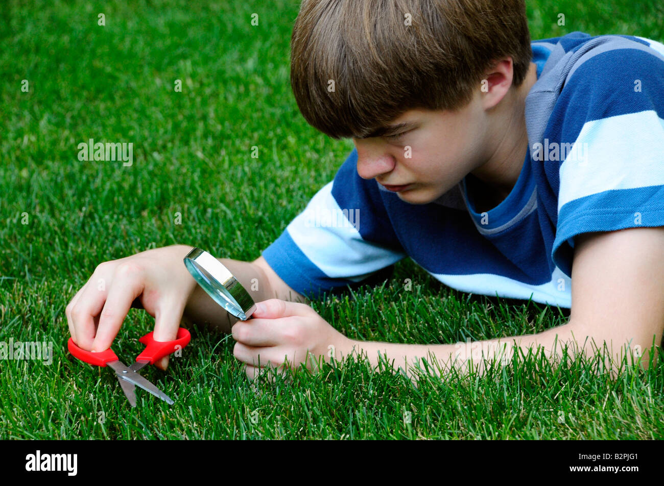 Teenage boy obsessionnellement clipping chaque lame d'herbe avec des ciseaux Banque D'Images