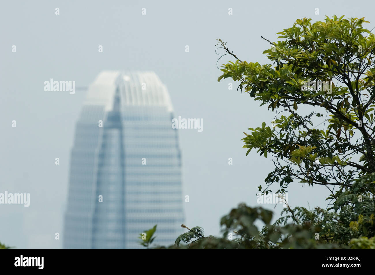 International Finance Centre, Hong Kong Banque D'Images