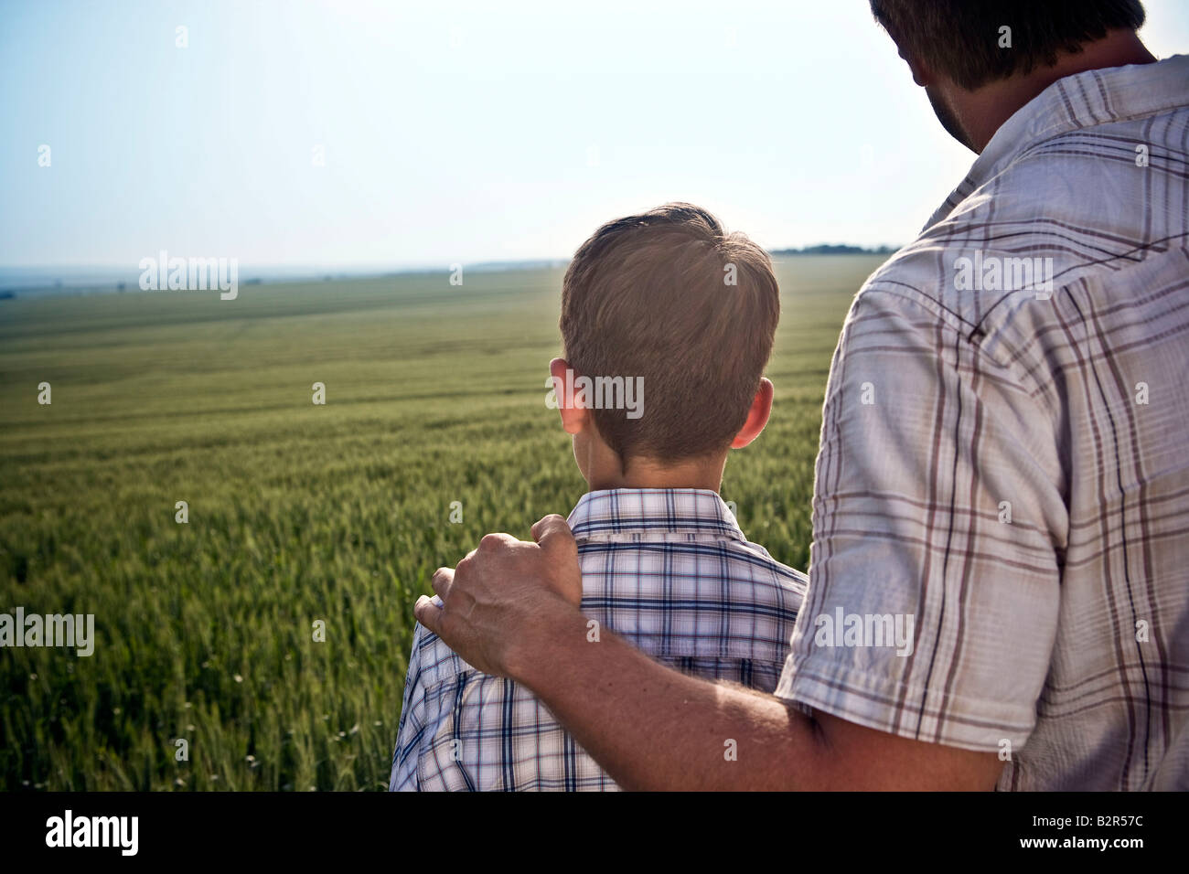 Père et fils dans le champ de blé Banque D'Images