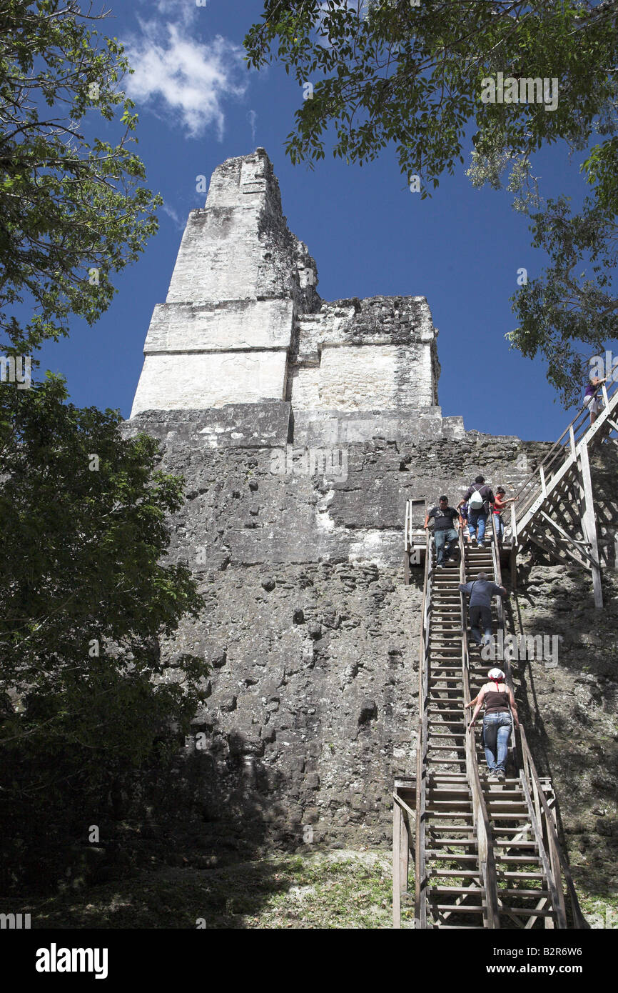 Les ruines et les temples de Tikal National Park, près de Flores au Guatemala. Banque D'Images