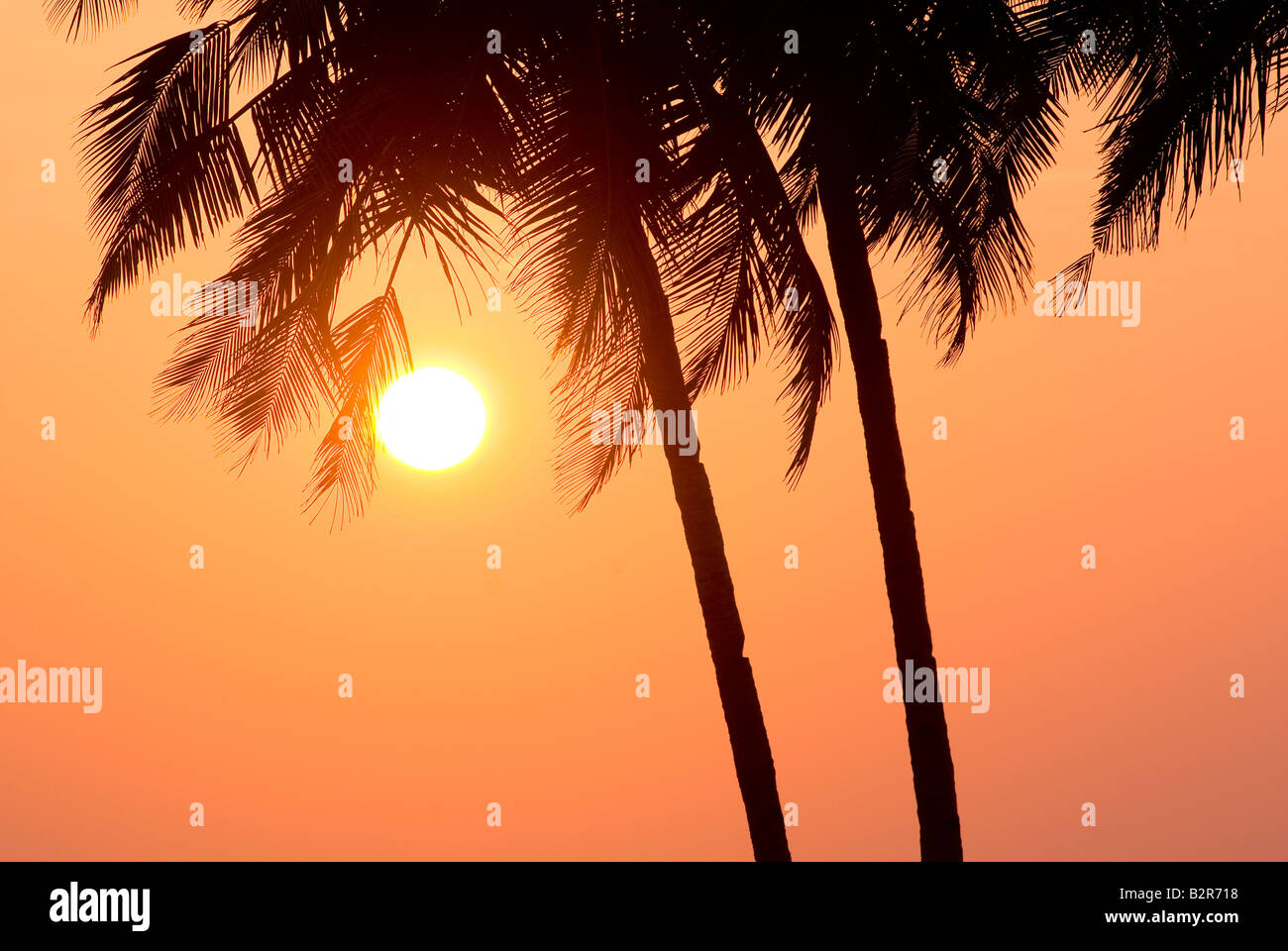 Coucher de soleil sur Plage d'Agonda, Goa, Inde, Asie Banque D'Images