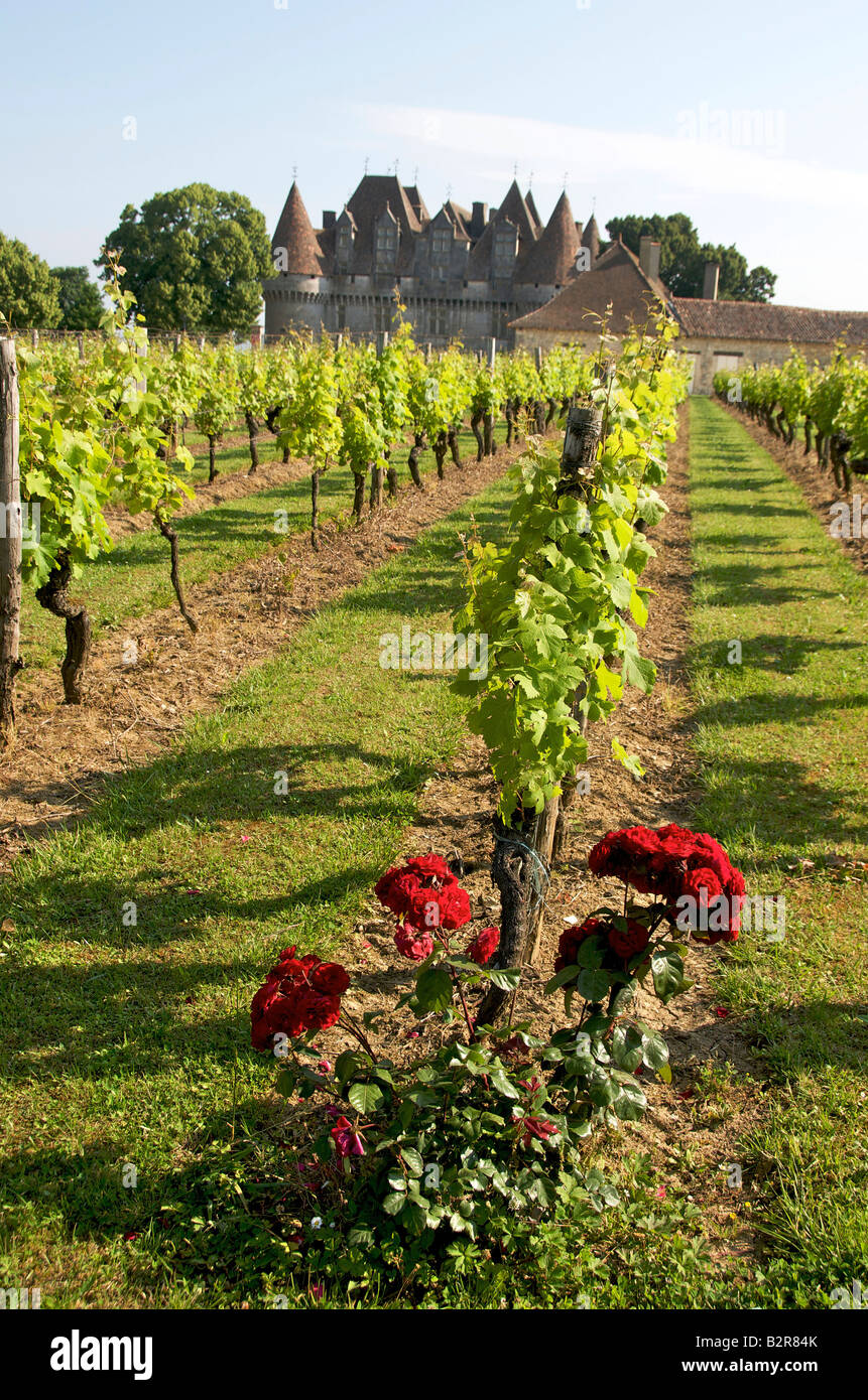 Vignobles / winery de Château de Monbazillac, près de Bergerac, Dordogne, France Banque D'Images