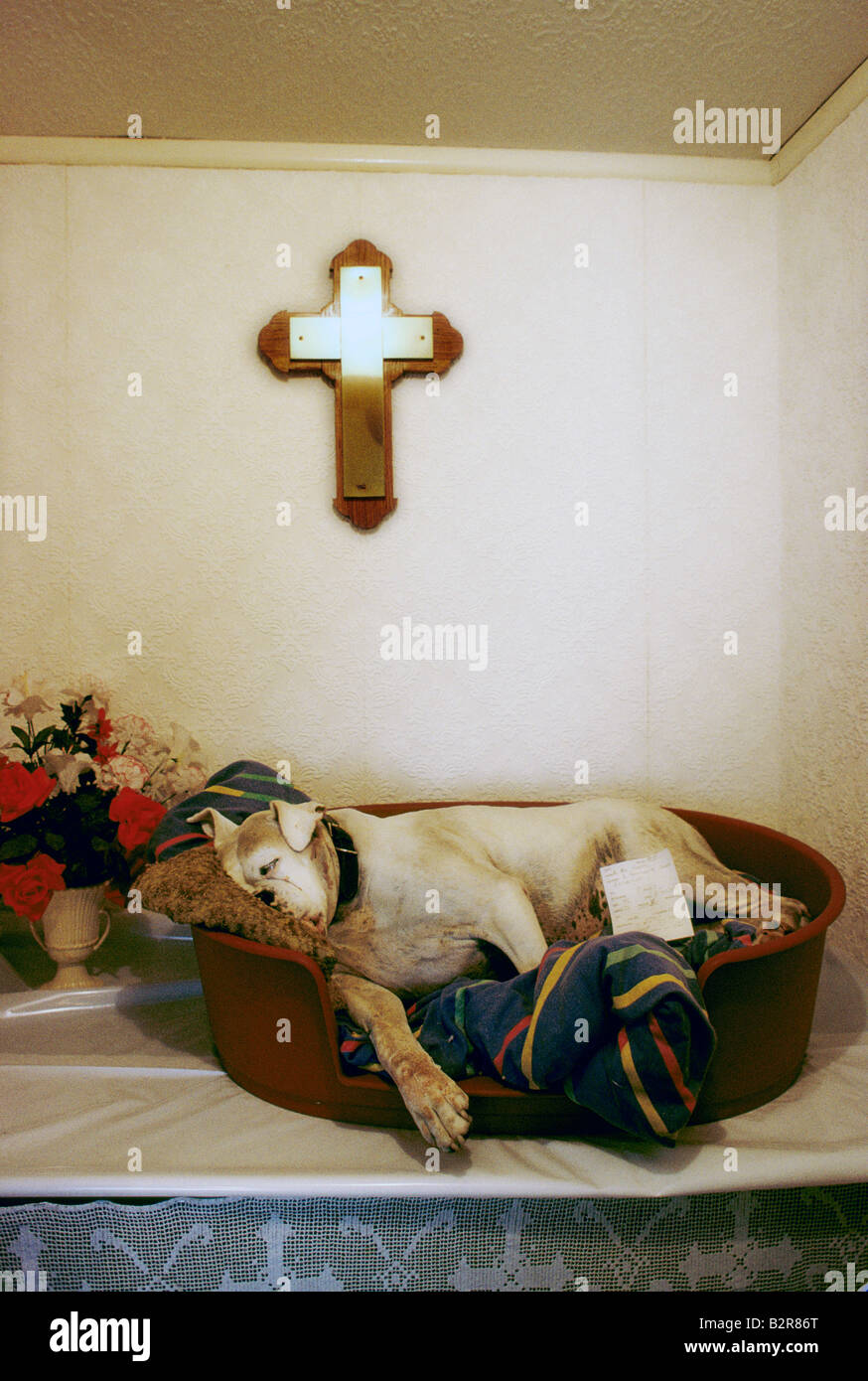 Au revoir cher ami cimetière pour animaux au yorkshire Banque D'Images