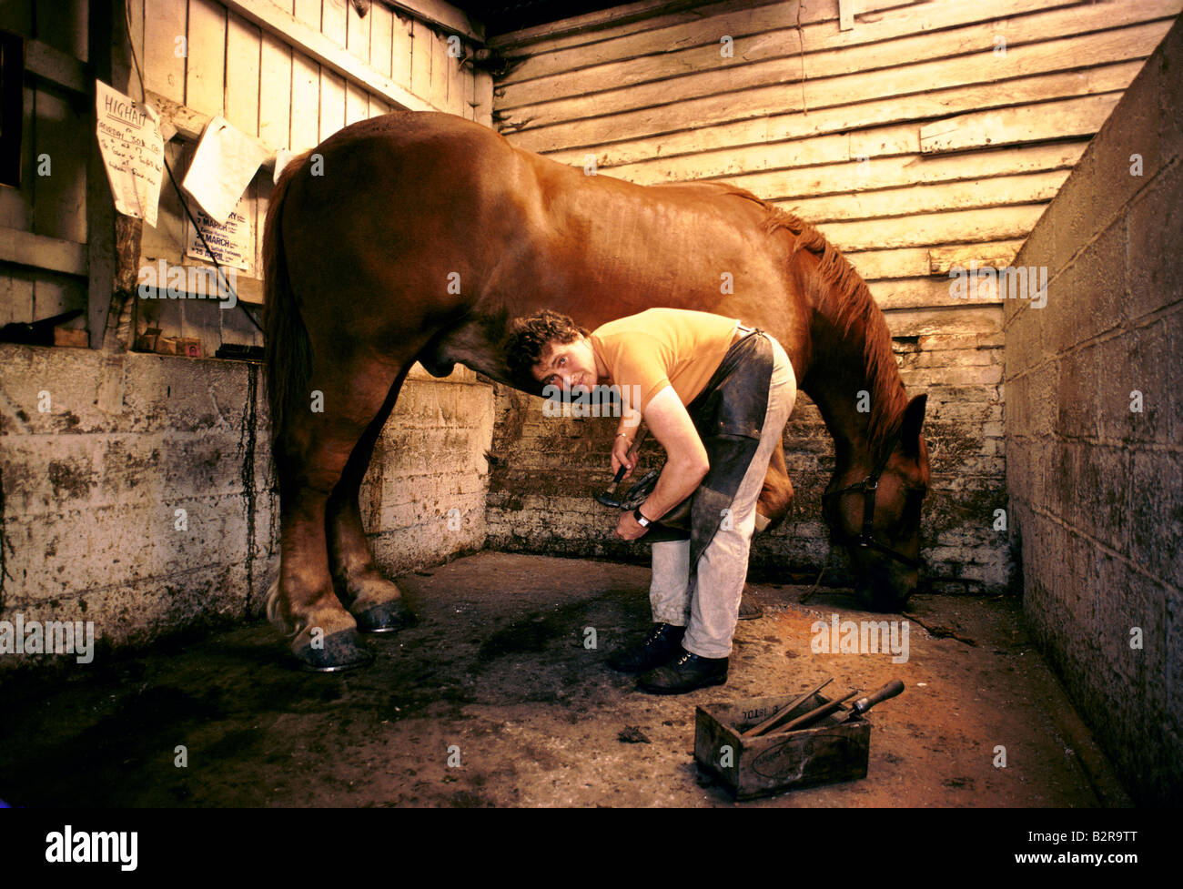 Femme maréchal-ferrant maréchalerie cheval au village d'Angleterre, Royaume-Uni, UK Banque D'Images