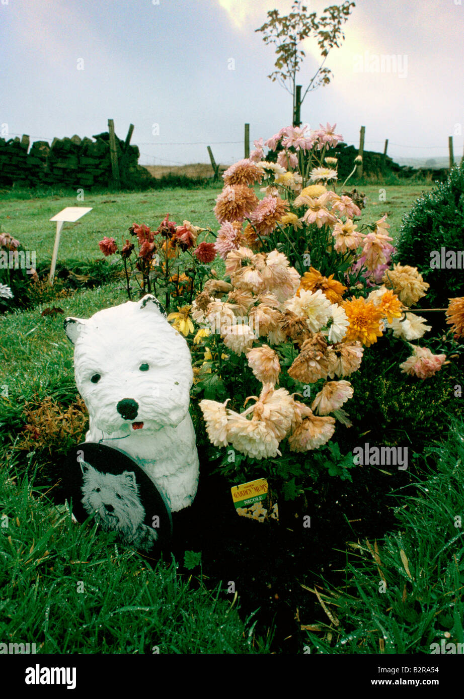Cimetière pour animaux yorkshire au revoir cher ami Banque D'Images