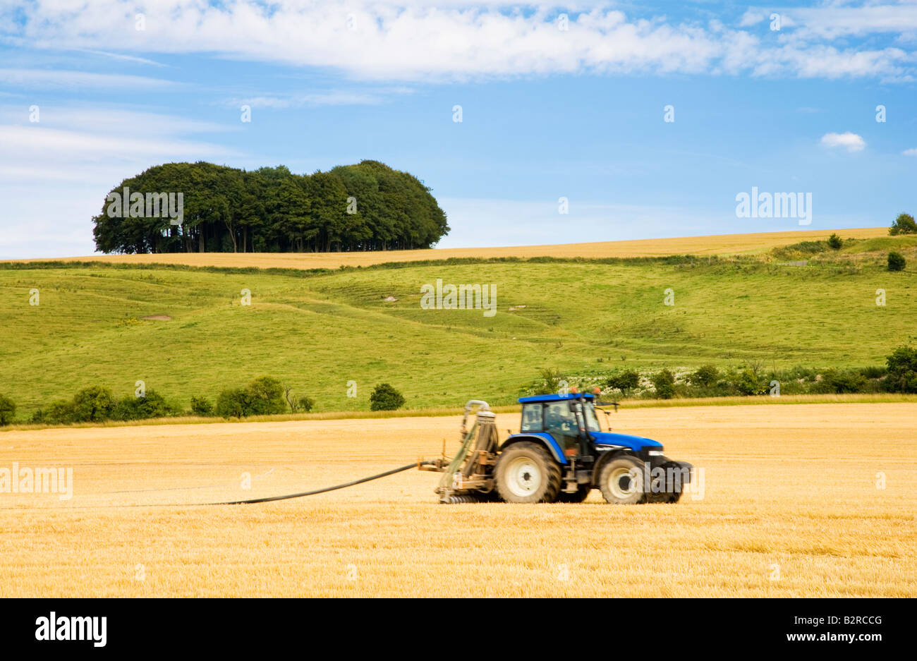 Scène typique du paysage du Wiltshire en été avec le tracteur et hêtre massif, England, UK Banque D'Images