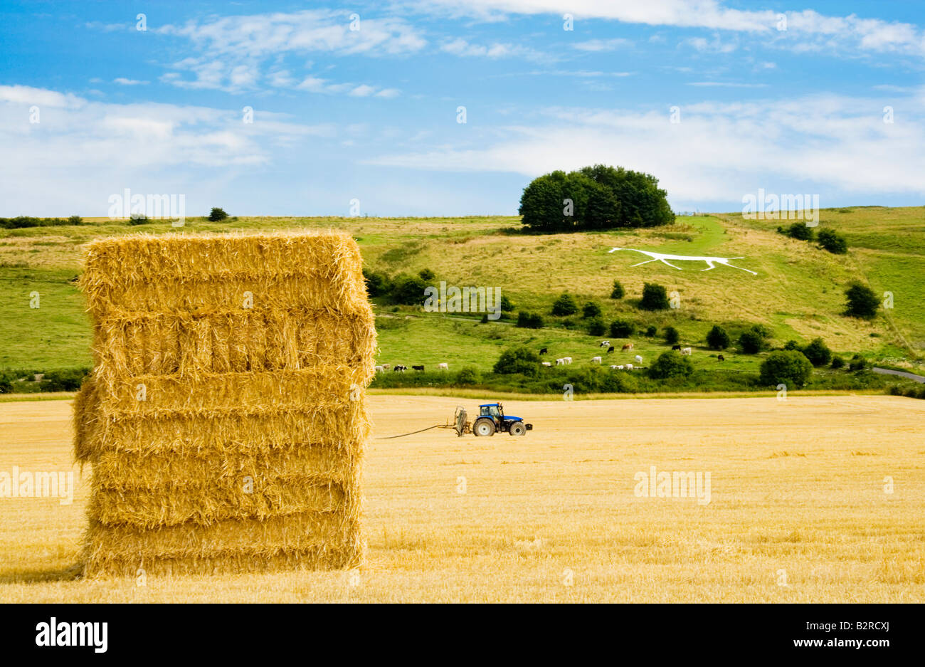 Scène typique du paysage du Wiltshire en été avec haybale, tracteur et Hackpen Cheval blanc figure à la craie, England, UK Banque D'Images