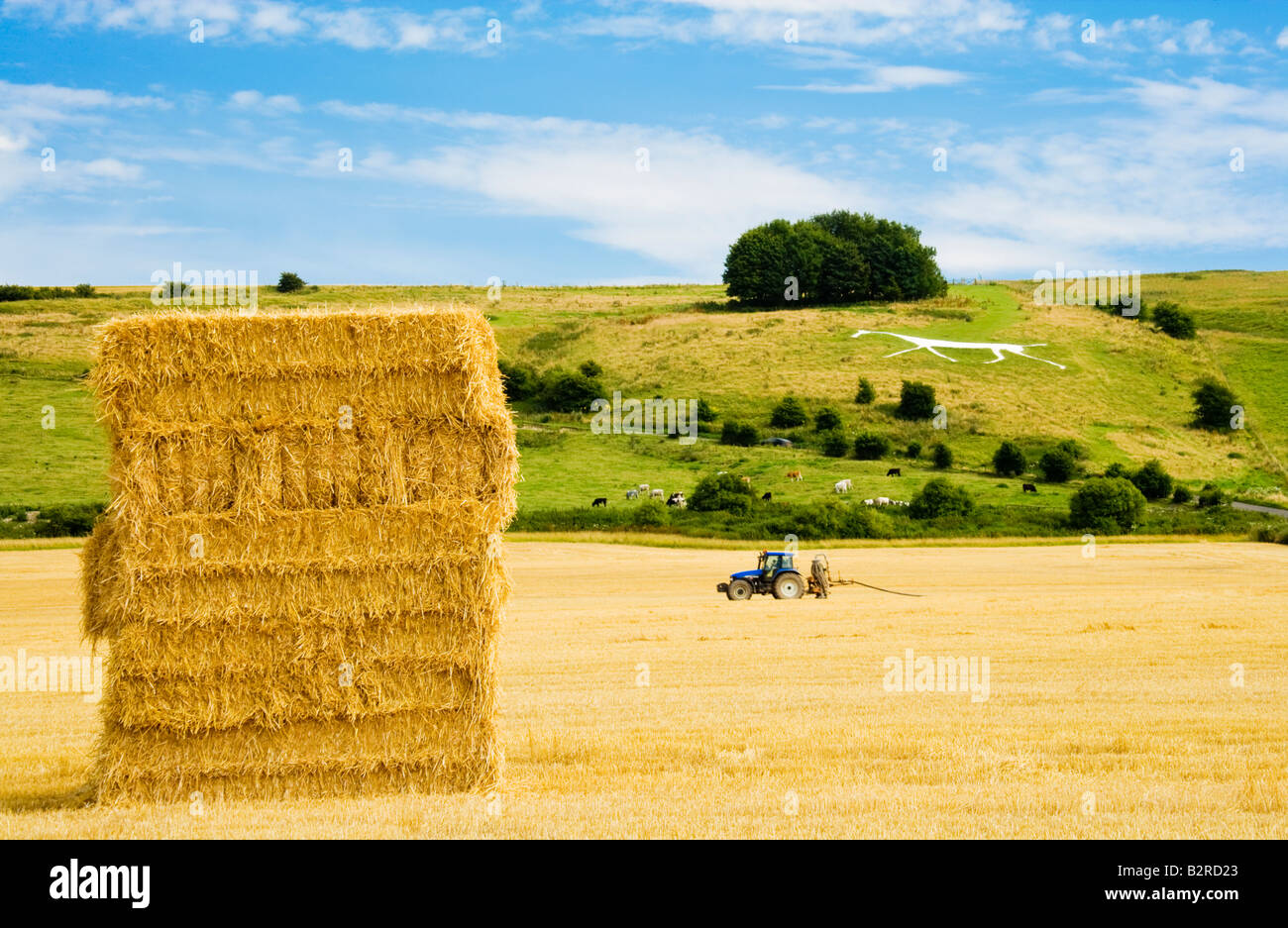 Scène typique du paysage du Wiltshire en été avec haybale, tracteur et Hackpen Cheval blanc figure à la craie, England, UK Banque D'Images