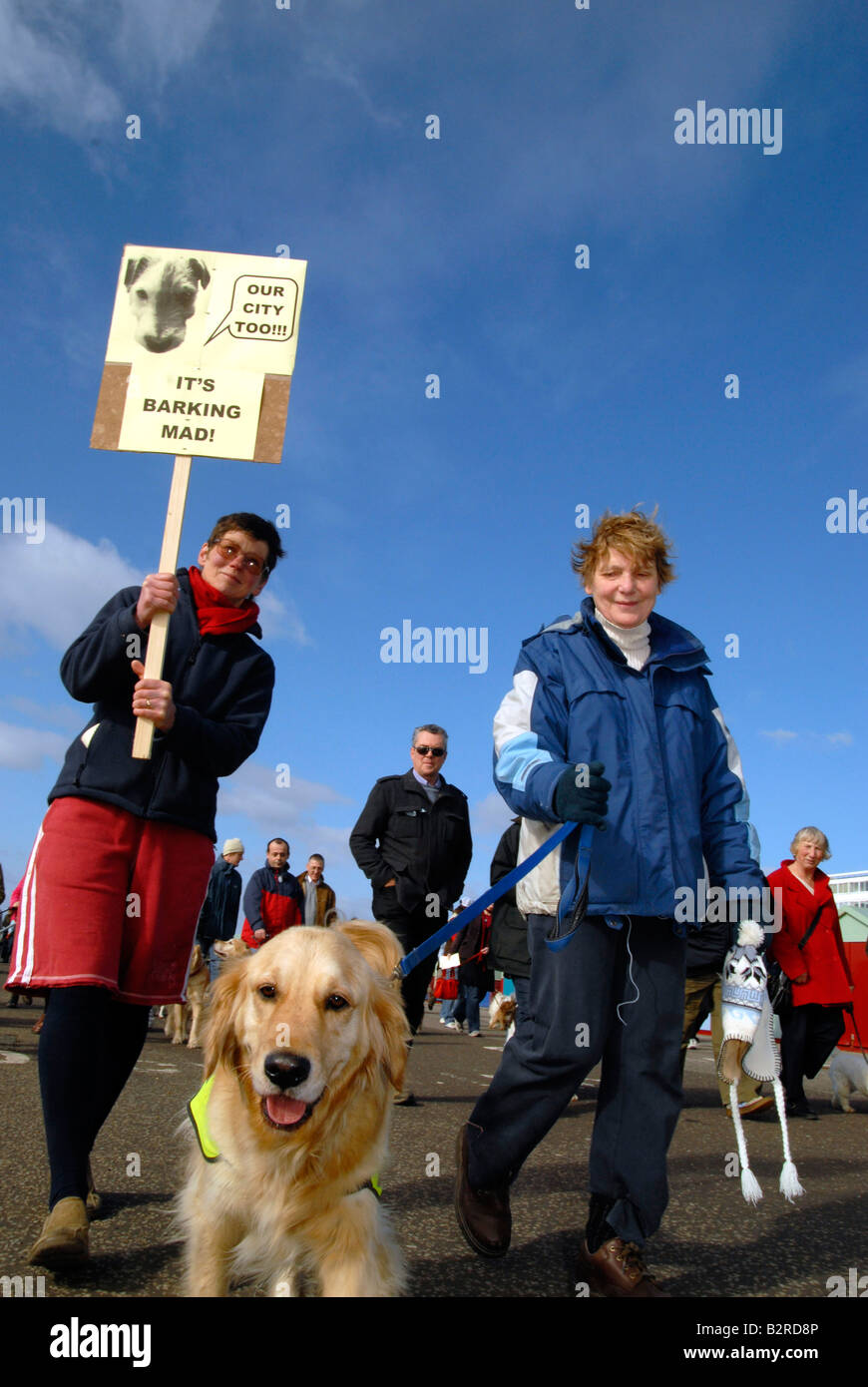 Les chiens et leurs propriétaires protester contre Brighton city councils des propositions visant à restreindre les chiens sur les plages. UK Banque D'Images