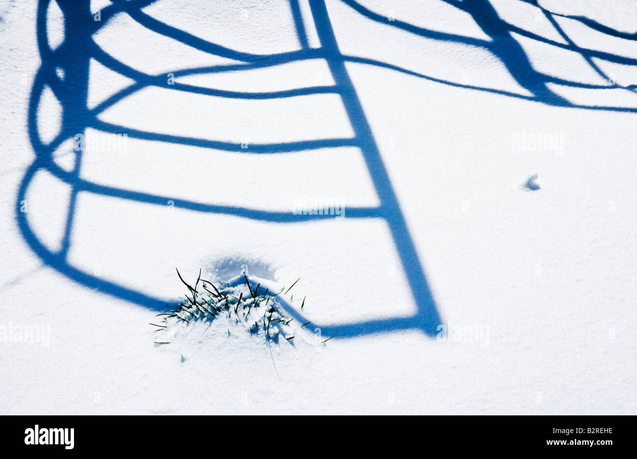Configurations des ombres sur la neige par un portail en fer forgé s'embrasser Banque D'Images