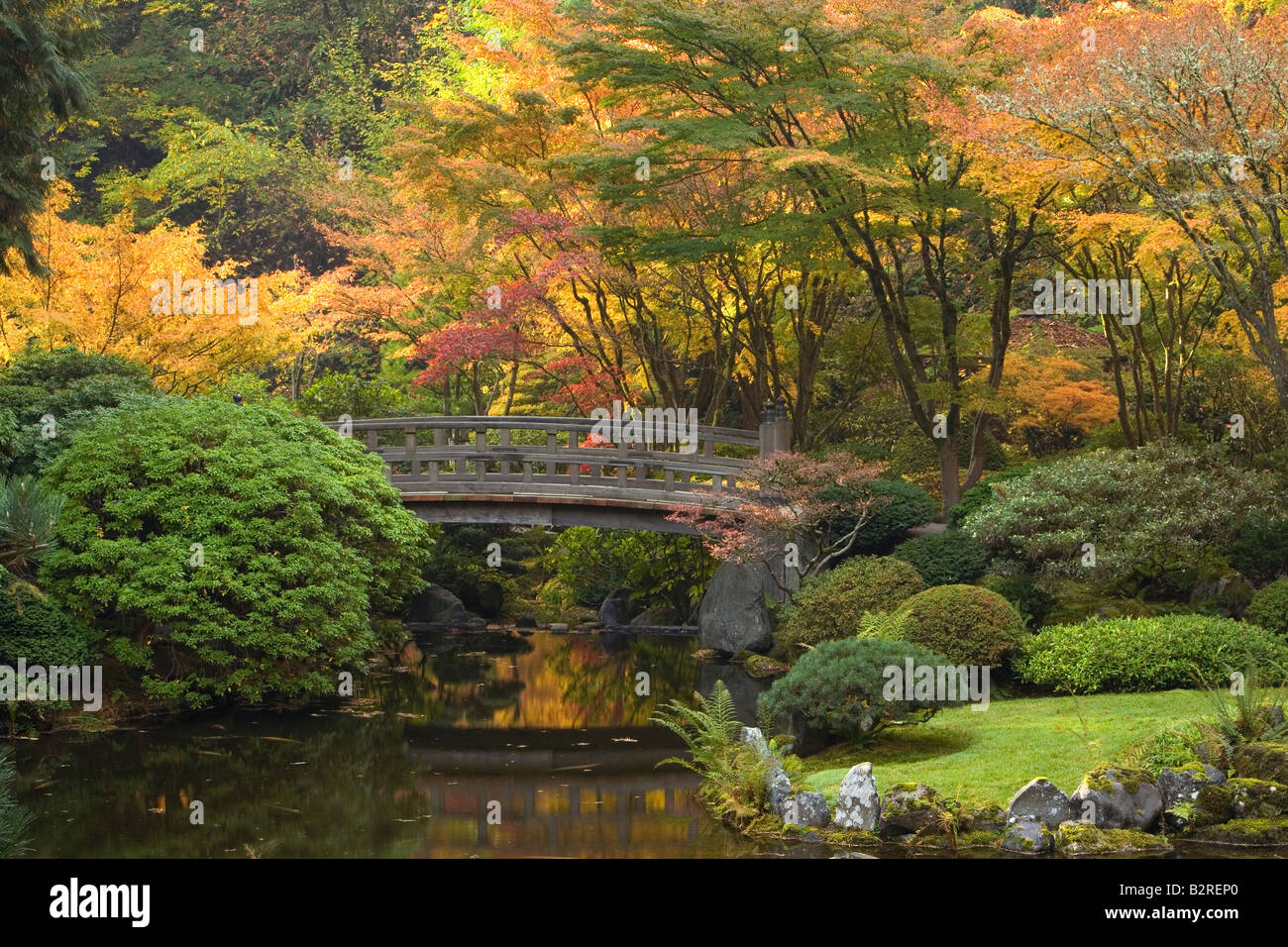 L'automne, Moonbridge, Portland Japanese Garden, ou aux États-Unis, Banque D'Images