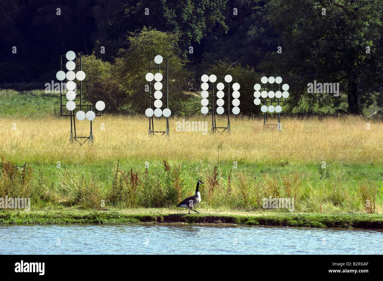 Une bernache du Canada marche le long de la rivière près de Farnham Surrey sculpteur passé Jonathan Parsons' le temps d'installation. Banque D'Images