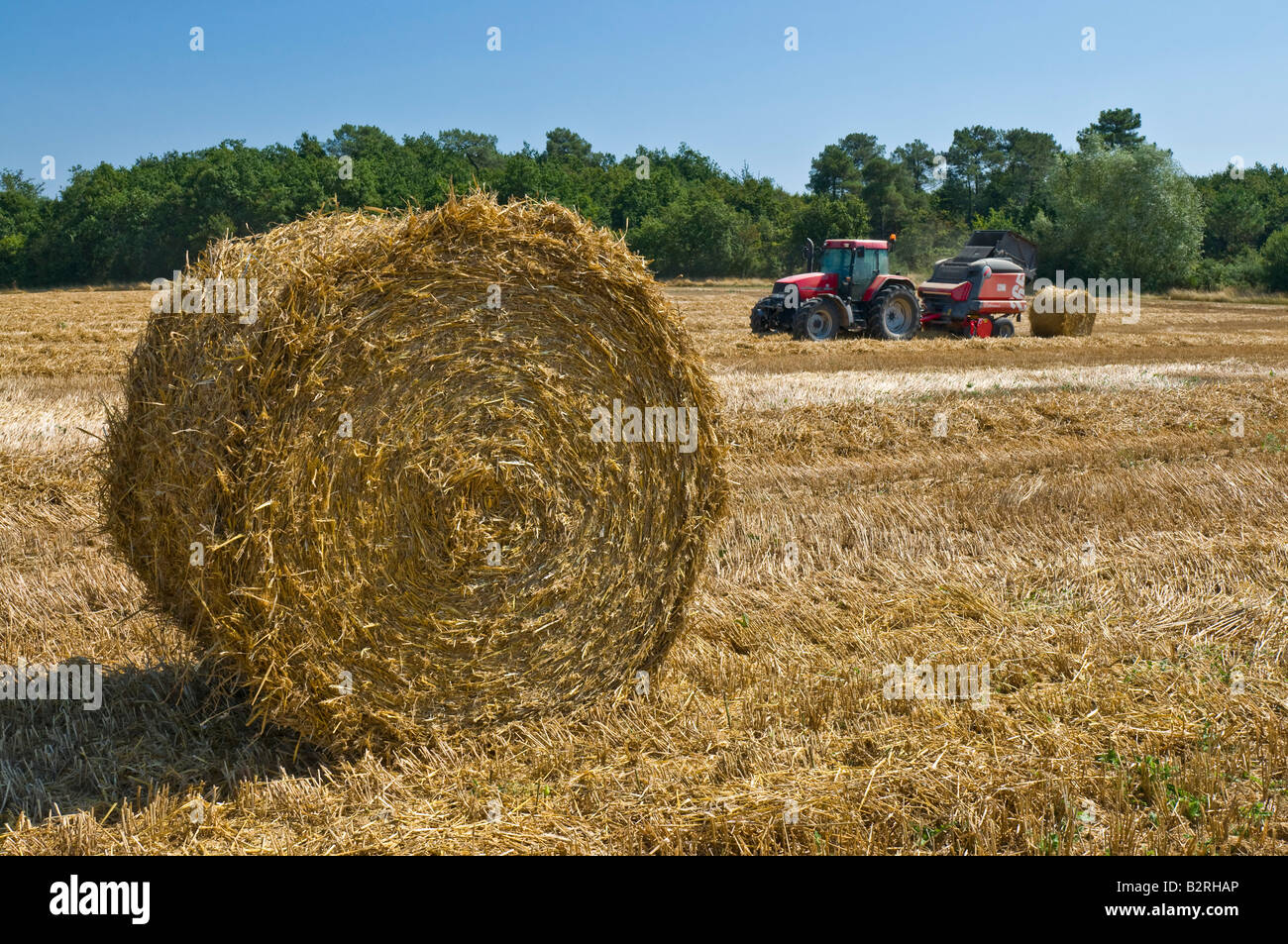American 'Case MX 135' et 'Italien Feraboli Extreme 265 balles rondes' au travail, sud-Touraine, France. Banque D'Images
