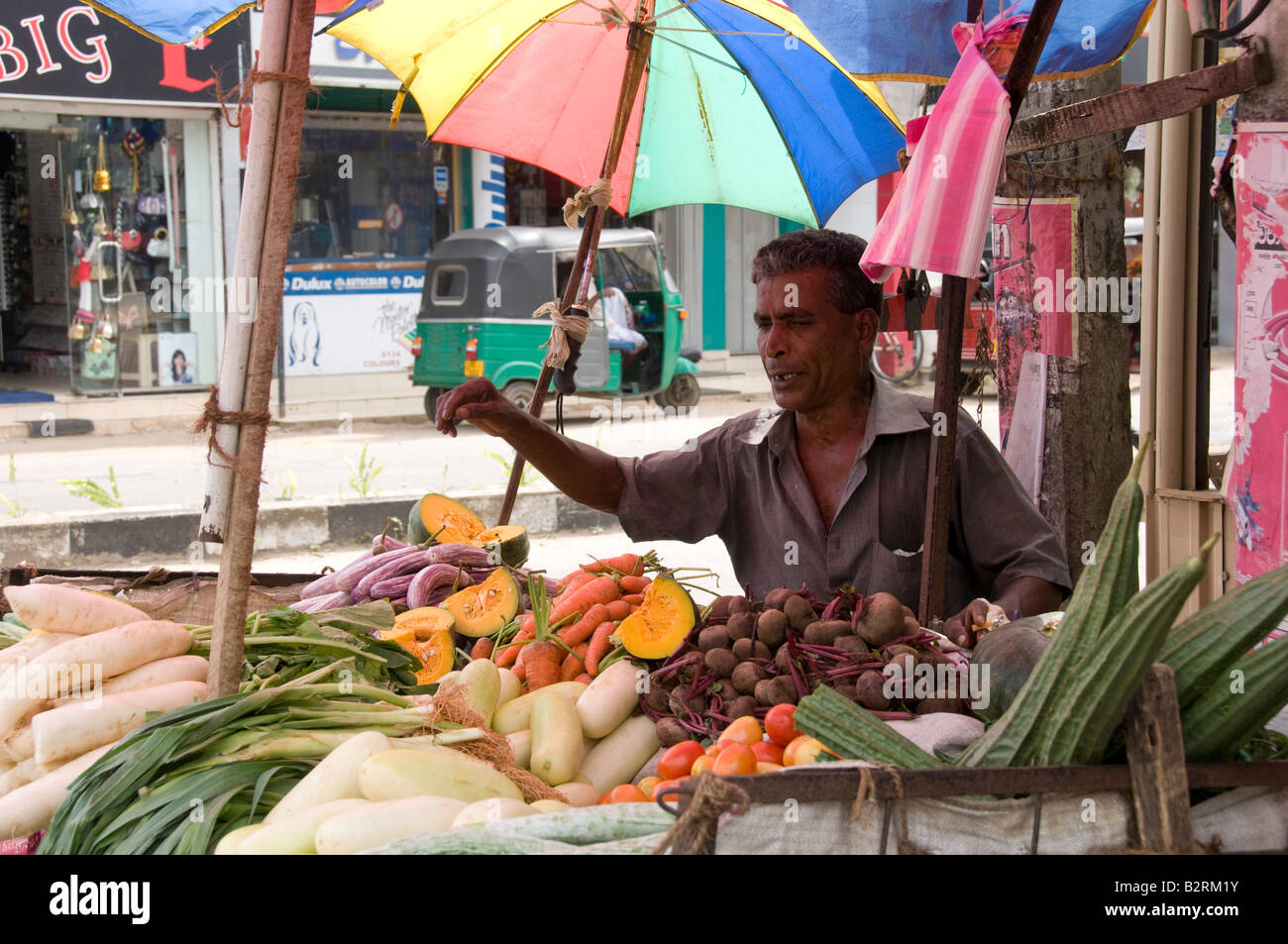 Vendeur de fruits et légumes, Galle, Sri Lanka Banque D'Images