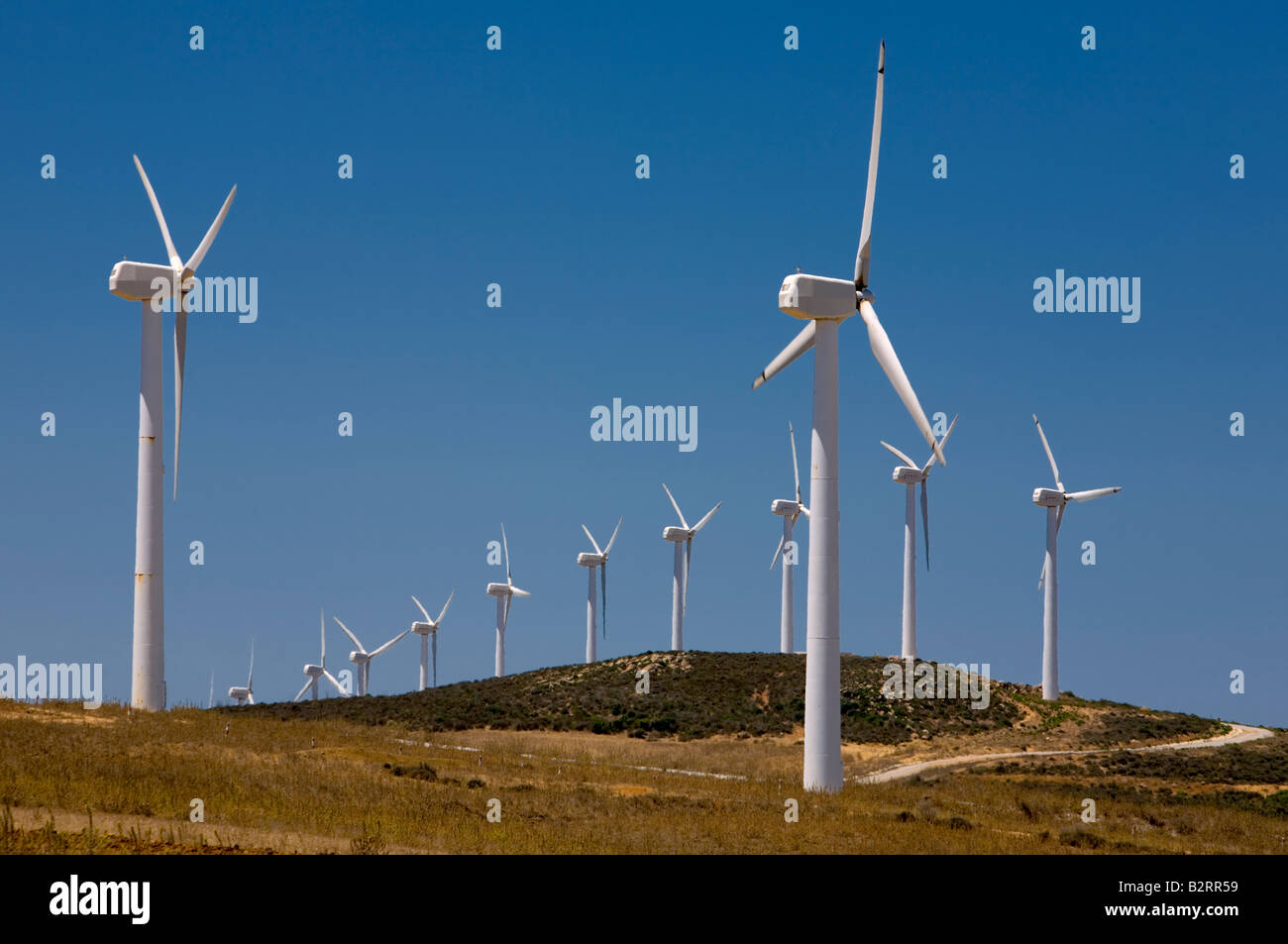 Ferme éolienne source d'énergie alternative Banque D'Images