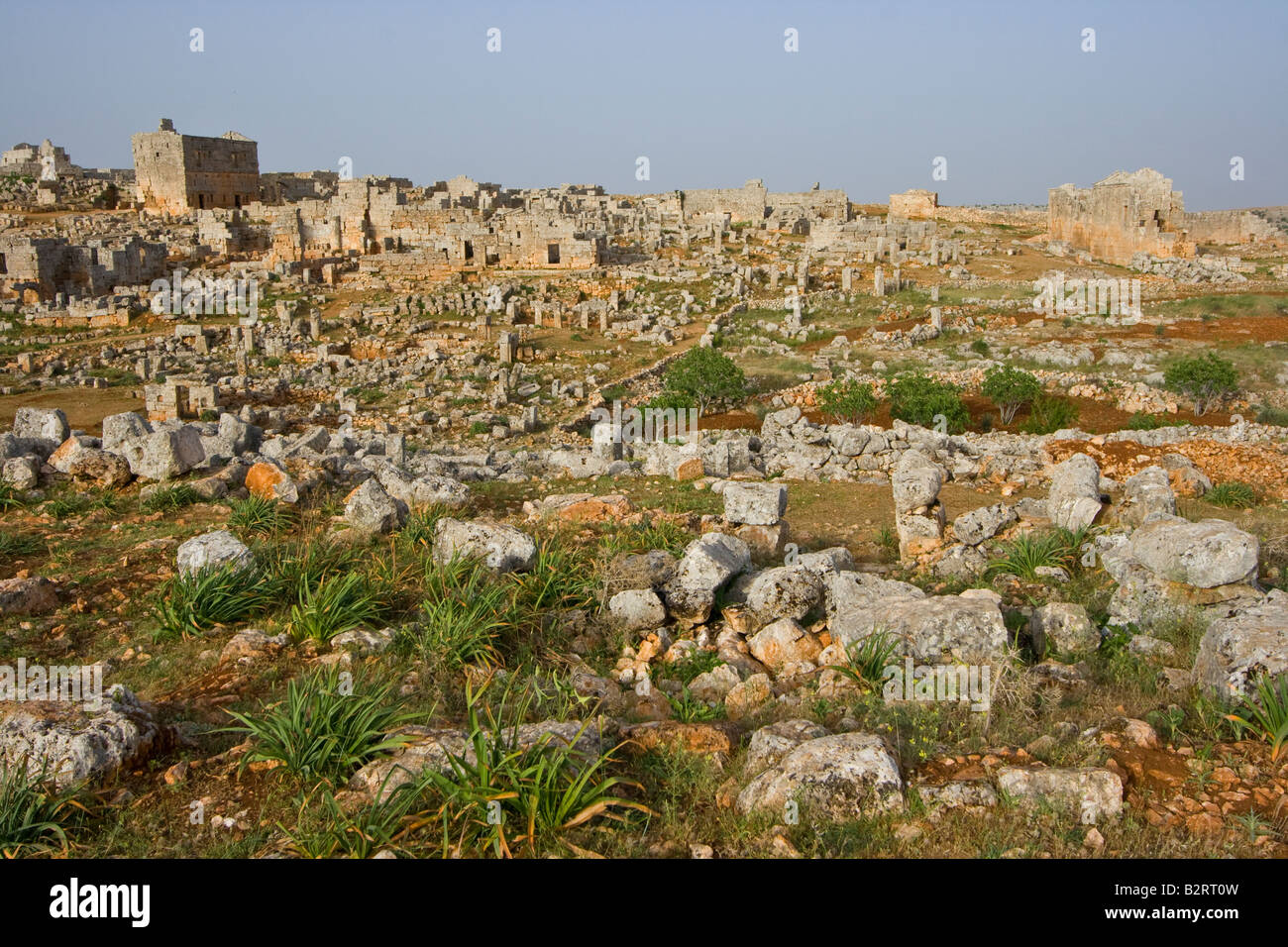 Ruines à Serjilla l'une des anciennes villes mortes en Syrie Banque D'Images