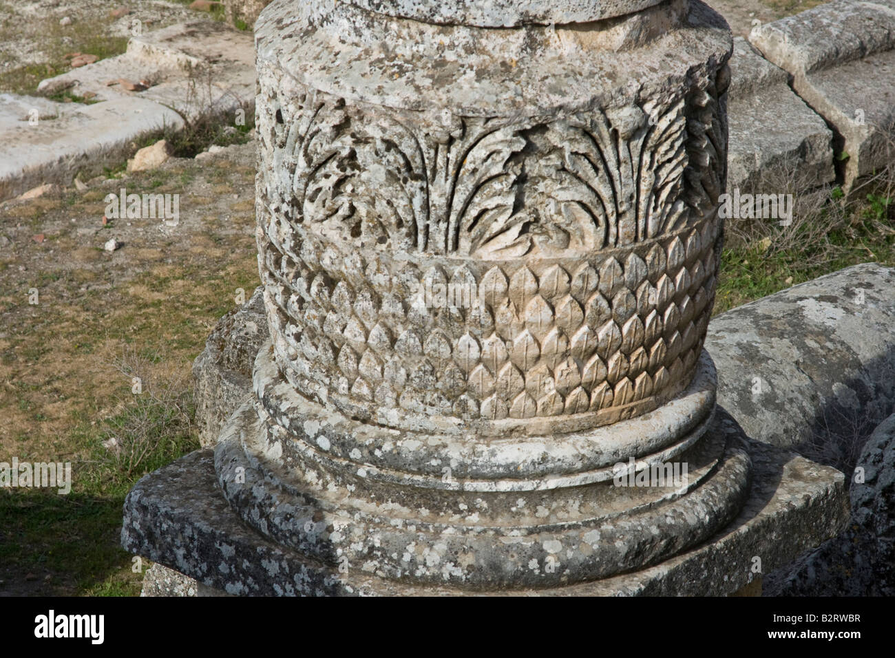 Détail de la colonne de vestiges romains à Apamée de Syrie Banque D'Images