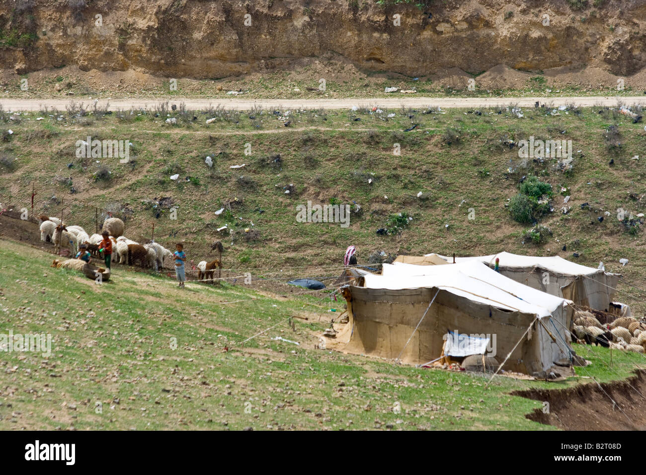 Campement bédouin à Apamée de Syrie Banque D'Images