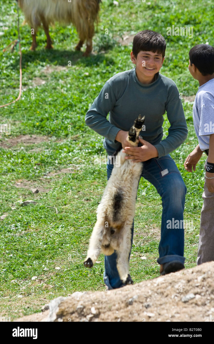 Garçon syrien portant un agneau à Apamée de Syrie Banque D'Images