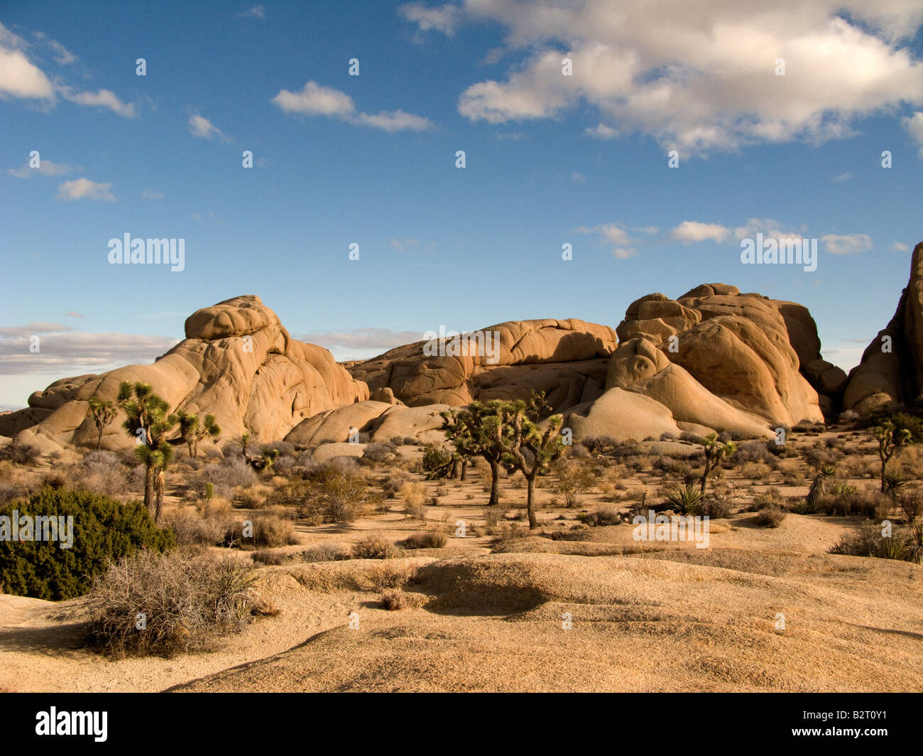 Rock formations in Joshua Tree National Park California USA Banque D'Images