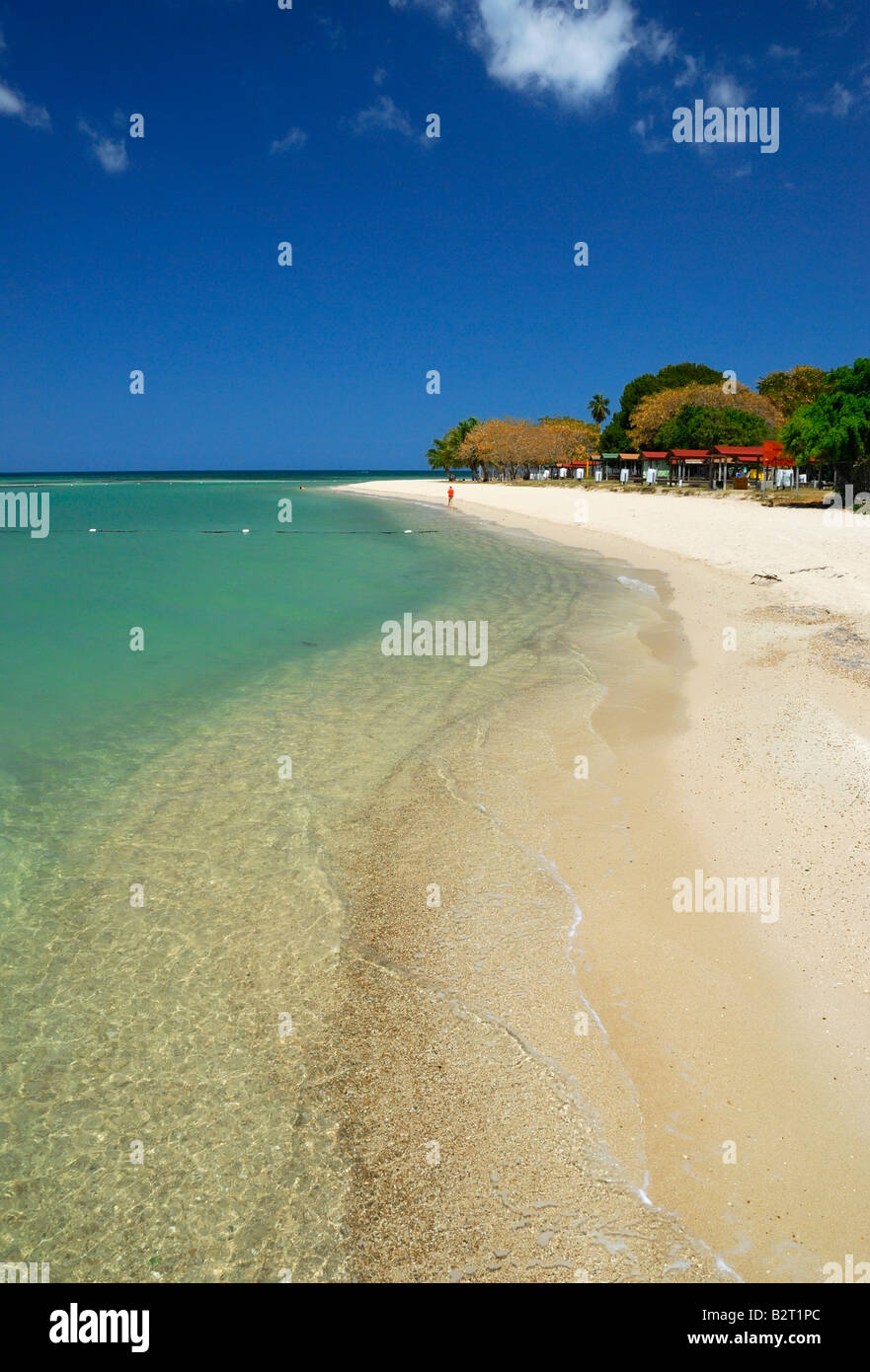 La belle plage de sable blanc de Punta Moja casabe, un joyau caché de l'habituel chemin battu el combate, Puerto Rico. Banque D'Images