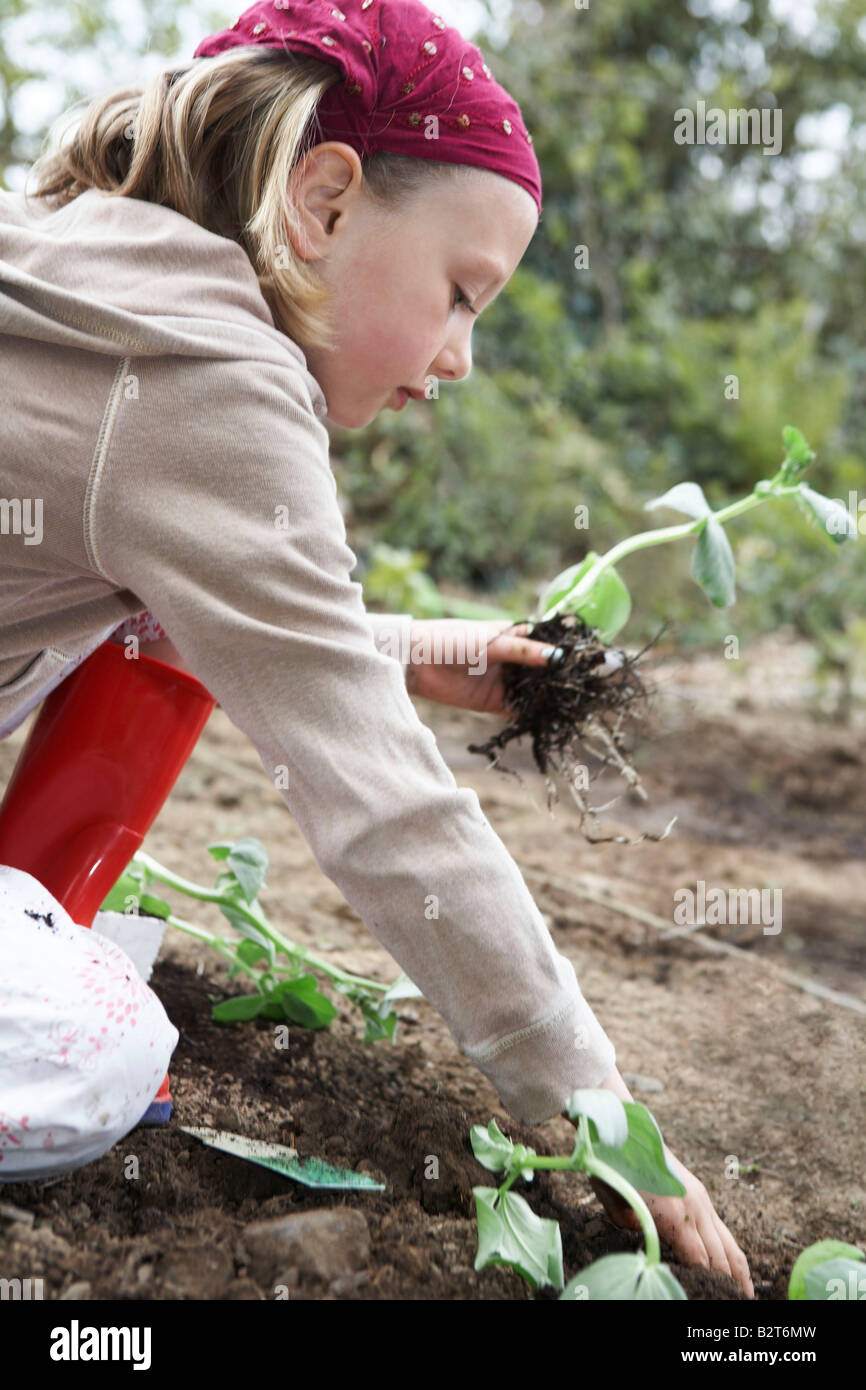 Jeune fille planter des légumes Banque D'Images