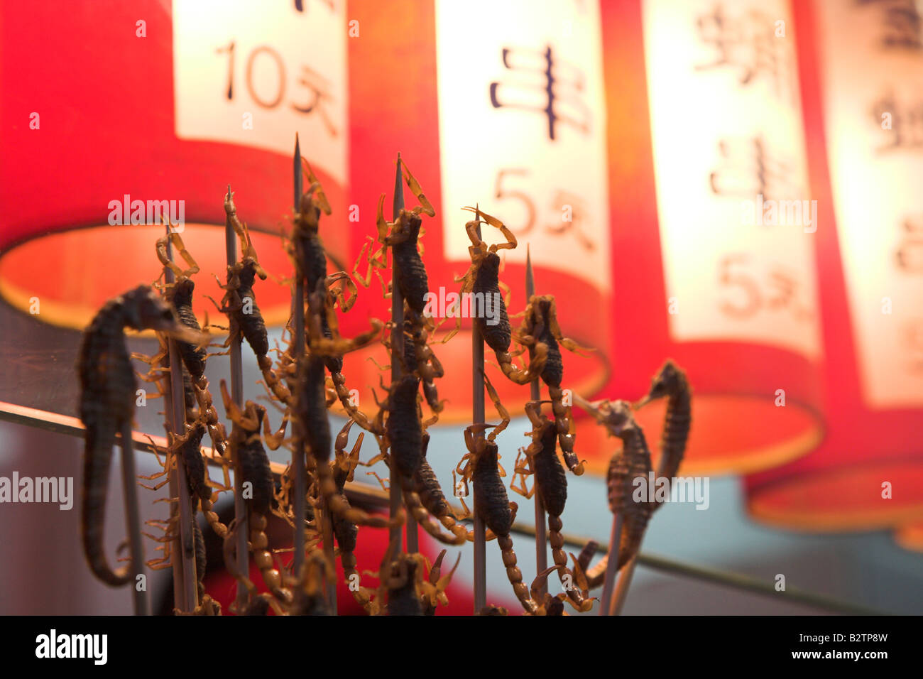 Le marché de nuit de Wangfujing stands de vente de nourriture Snack food exotiques y compris des scorpions sur des bâtons à Beijing, Chine. Banque D'Images