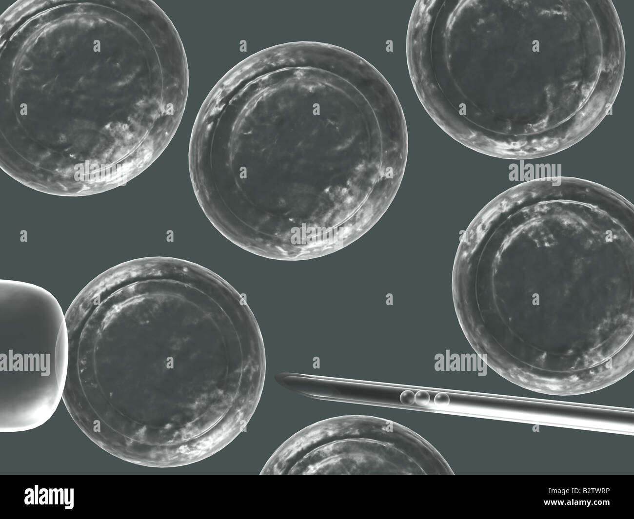 La manipulation des cellules Banque D'Images