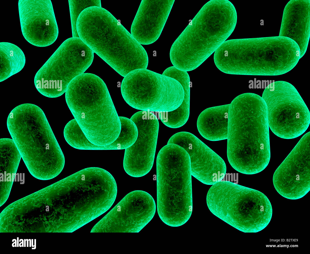 bactéries 3D Banque D'Images