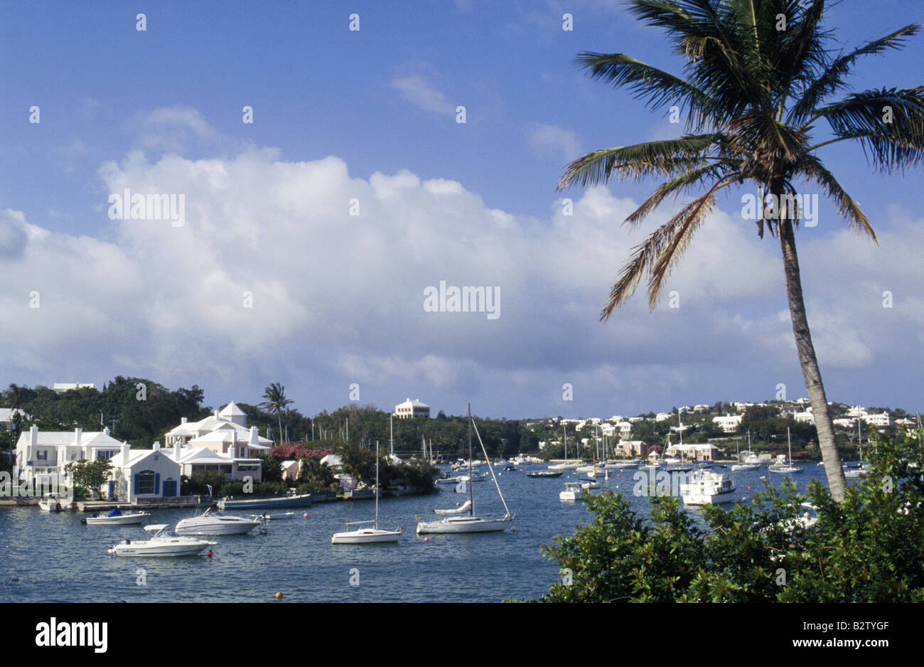 Maisons port bateaux amarrés palmier HAMILTON BERMUDES Banque D'Images