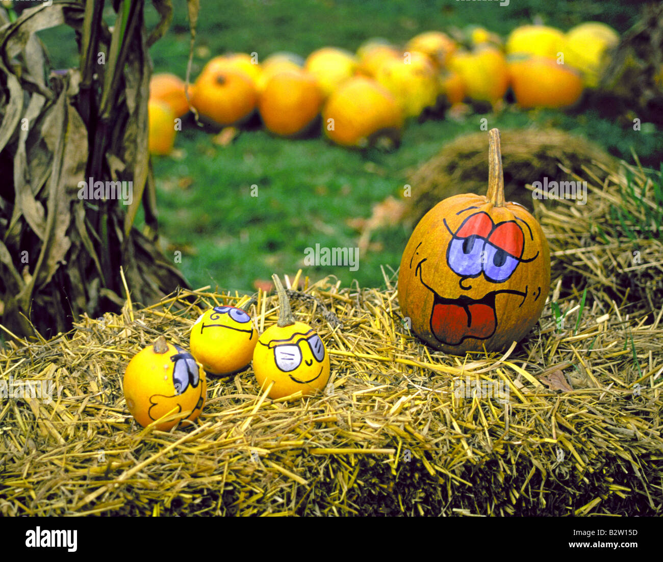 Citrouilles d'Halloween avec des visages peints à un agriculteur s marché près de Dorset Vermont à l'apogée de l'automne Octobre Changer couleur Banque D'Images