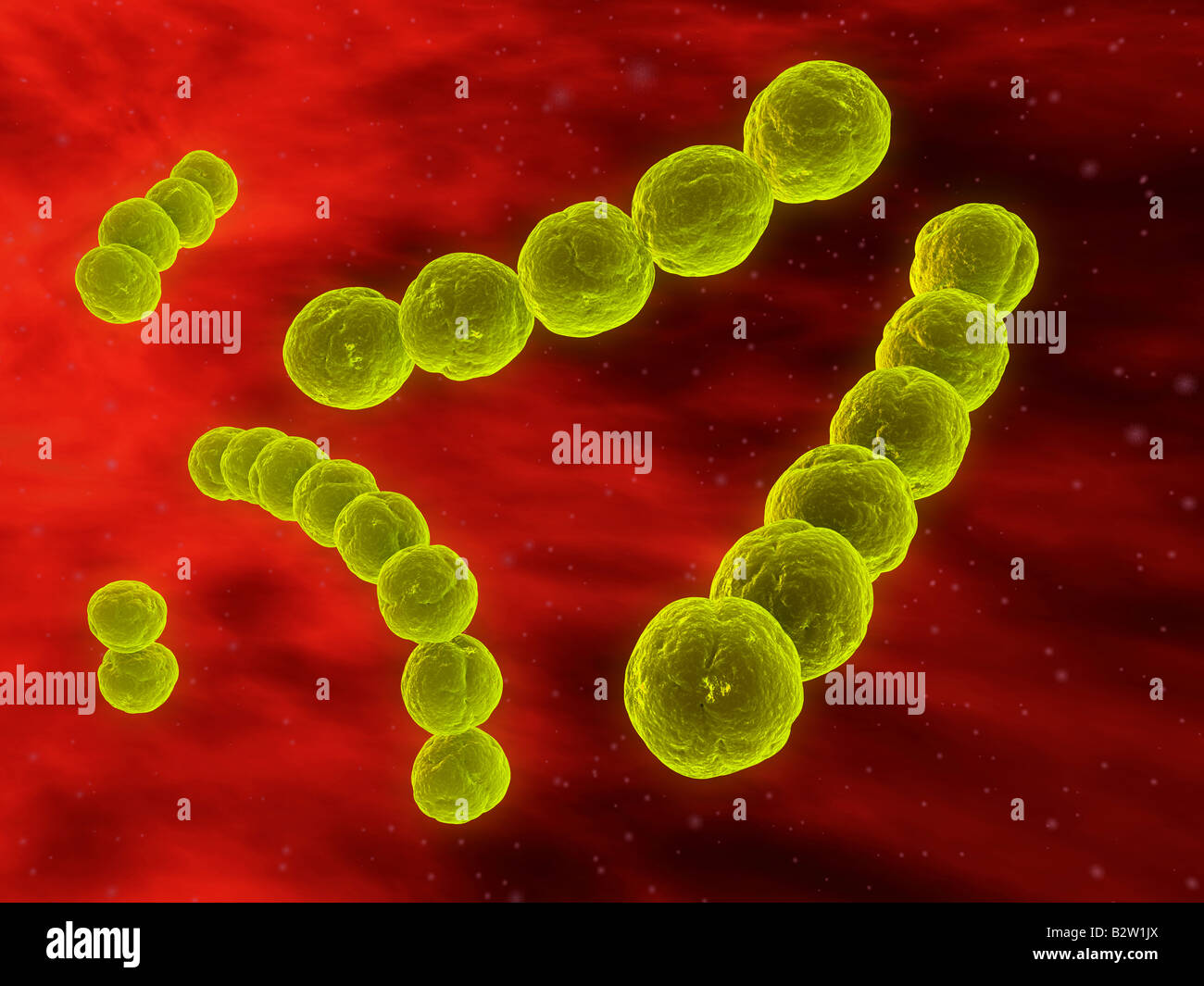 Bactérie streptocoque Banque de photographies et d’images à haute ...