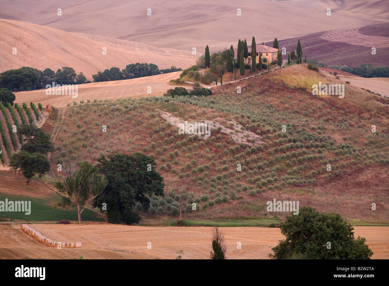 Ferme, Val d'Orcia, Toscane, Italie Banque D'Images