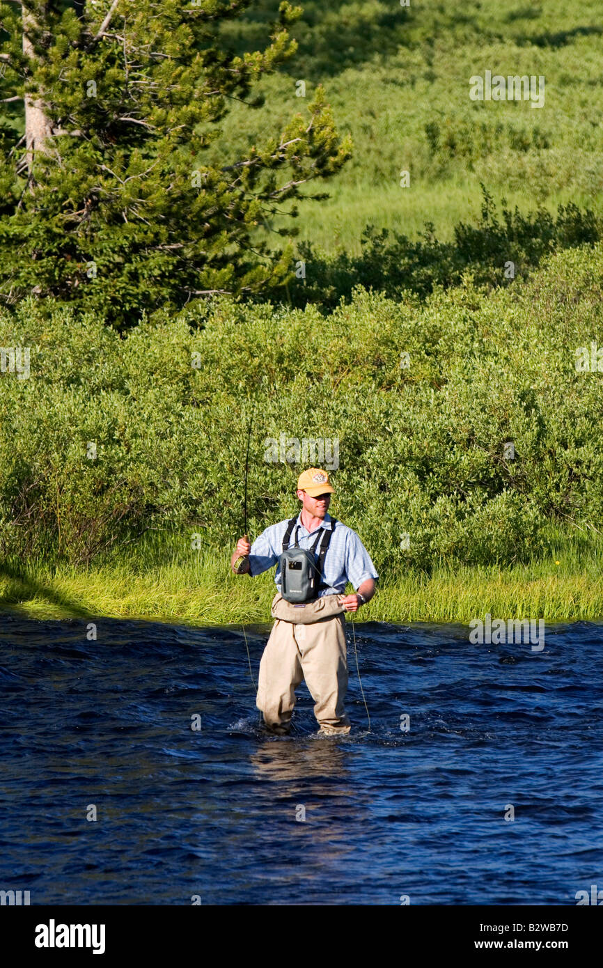 La pêche à la mouche sur la rivière Lewis dans le Parc National de Yellowstone au Wyoming Banque D'Images
