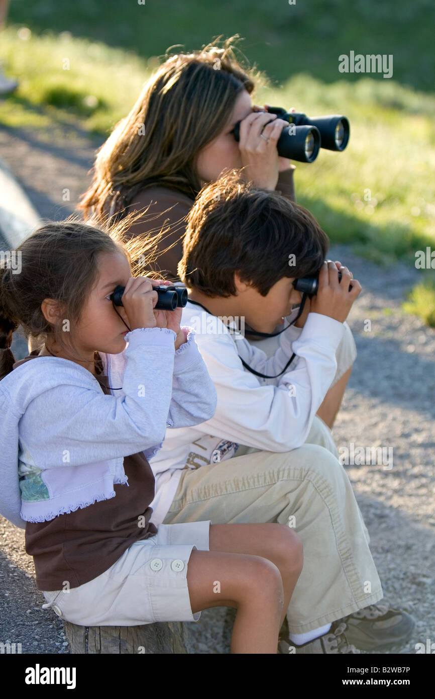 Hispanic family l'observation de la faune avec les jumelles dans le Parc National de Yellowstone au Wyoming Banque D'Images